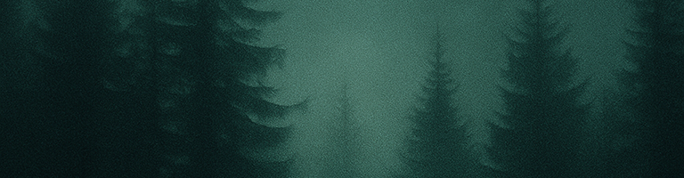 Bosmer project artwork